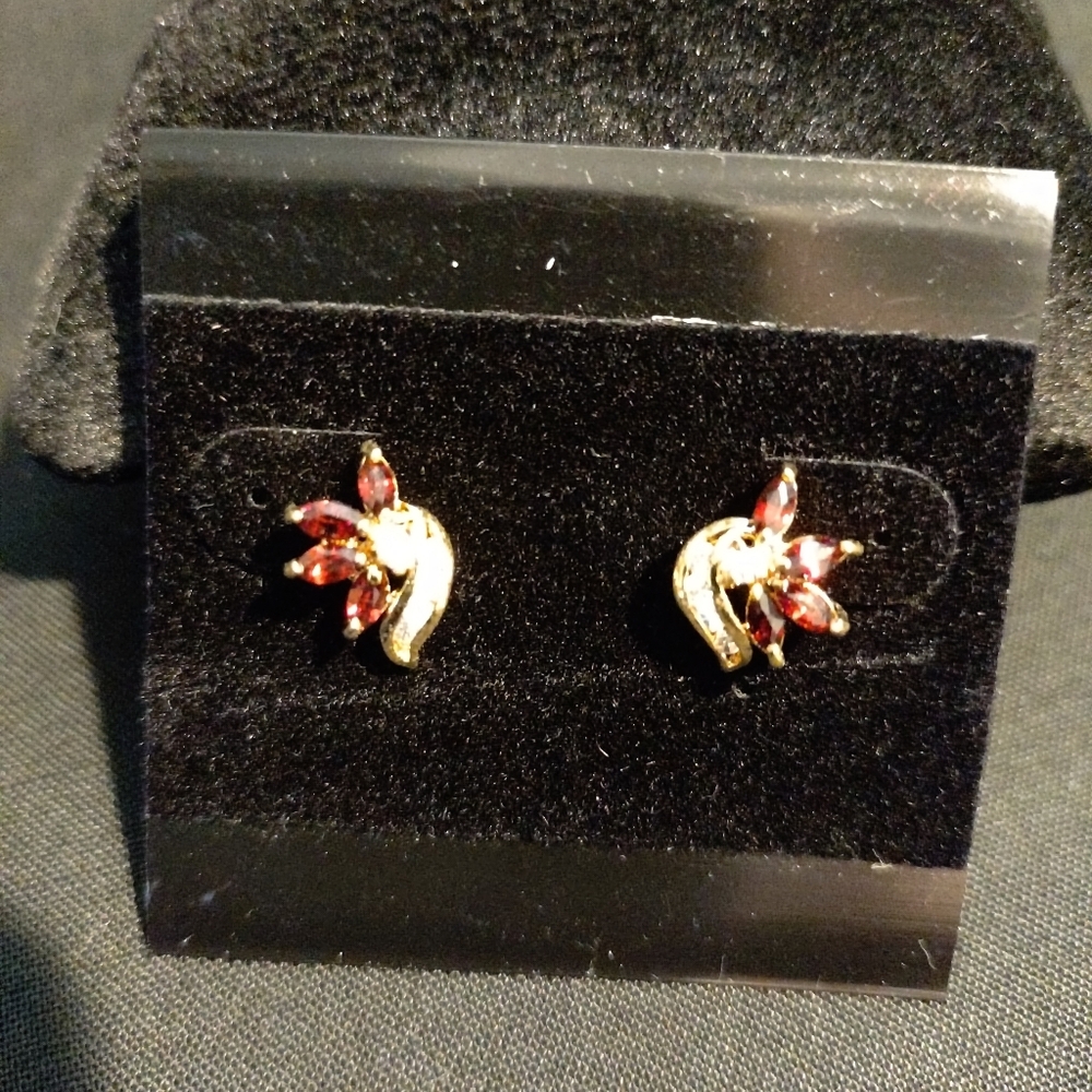 Woman's Electroplated Earrings